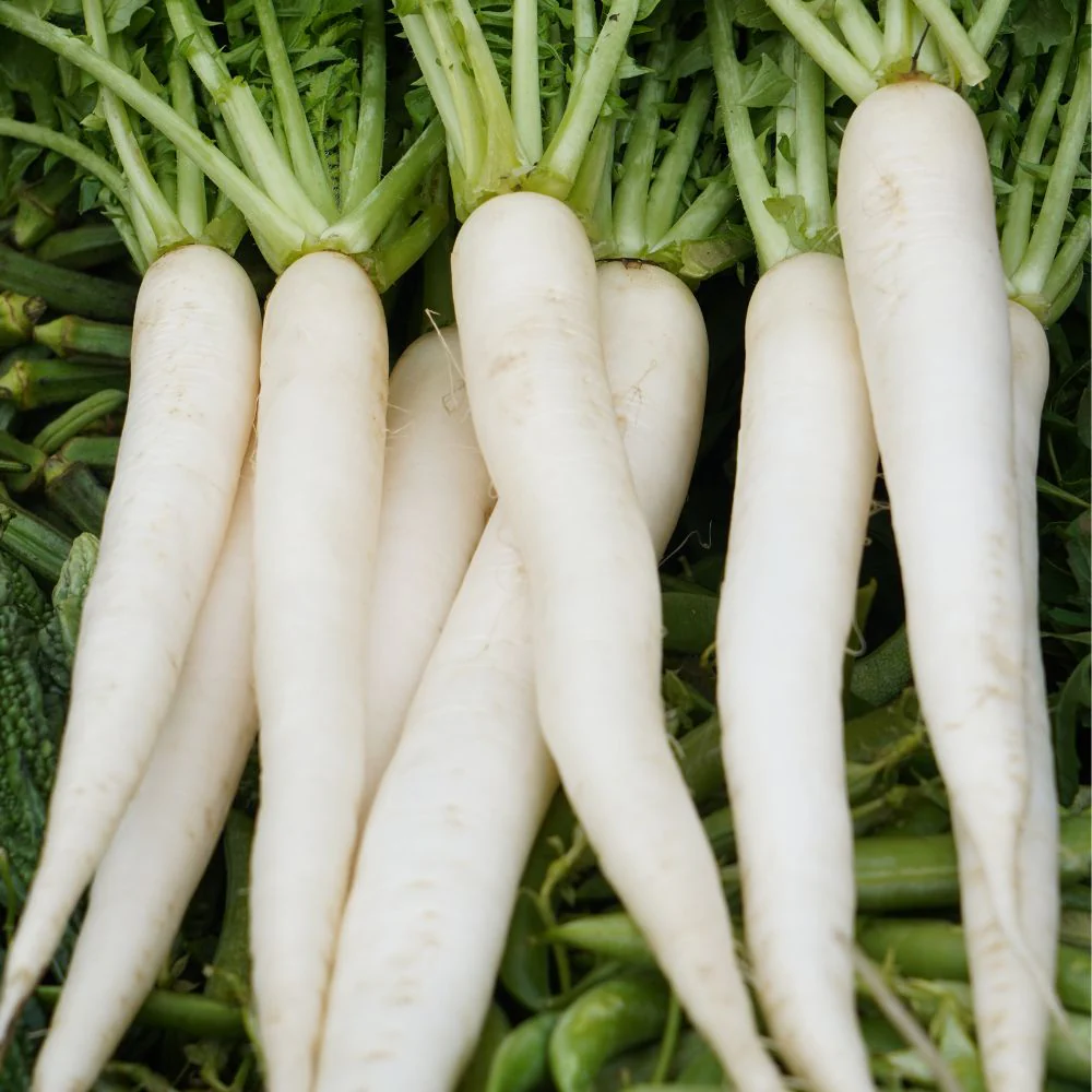 Agricultural Products